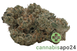 Enua 33/1 PS3 CA MYC Minty Cookies