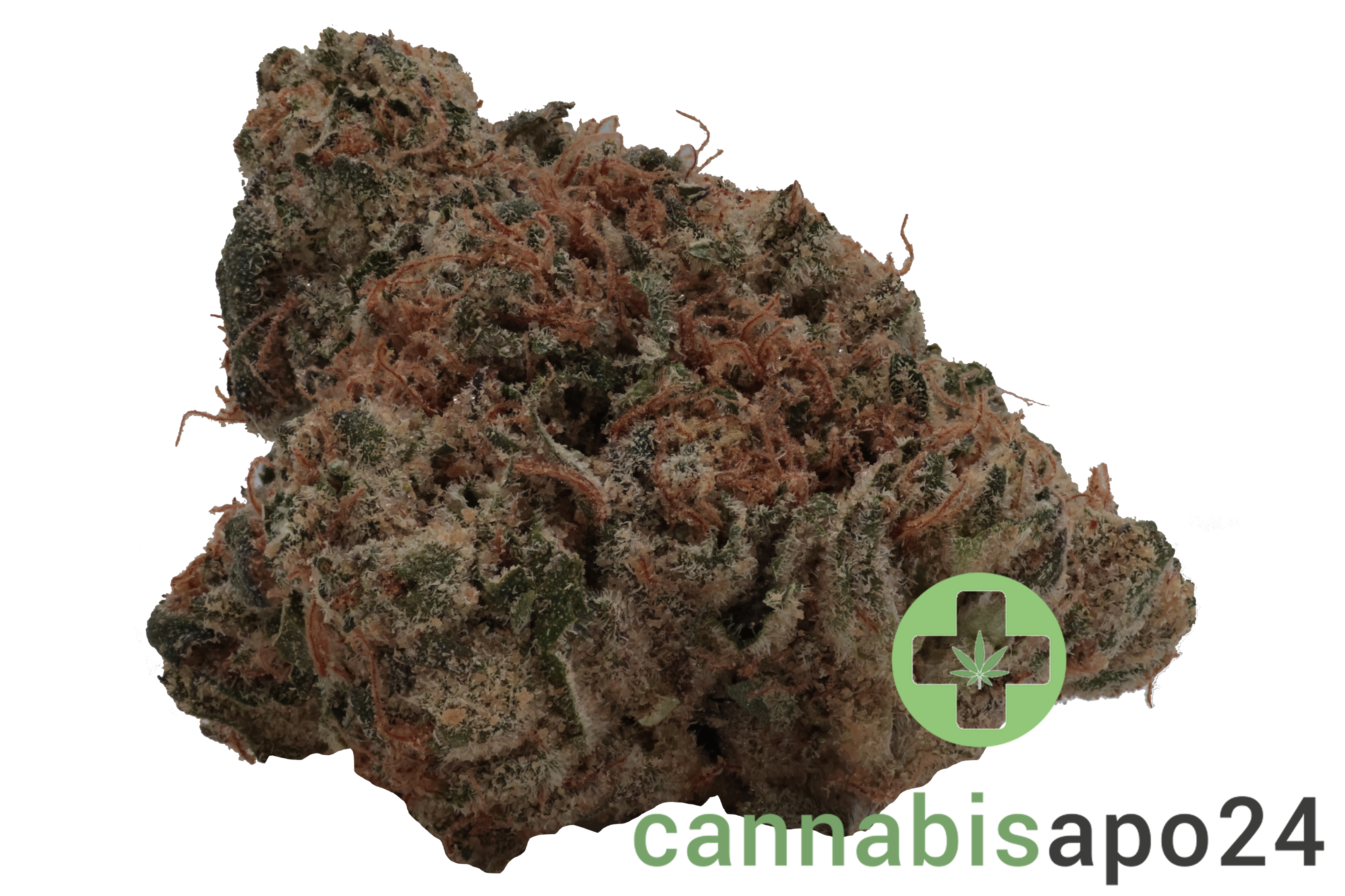 Enua 33/1 QKZ CA Fight Club