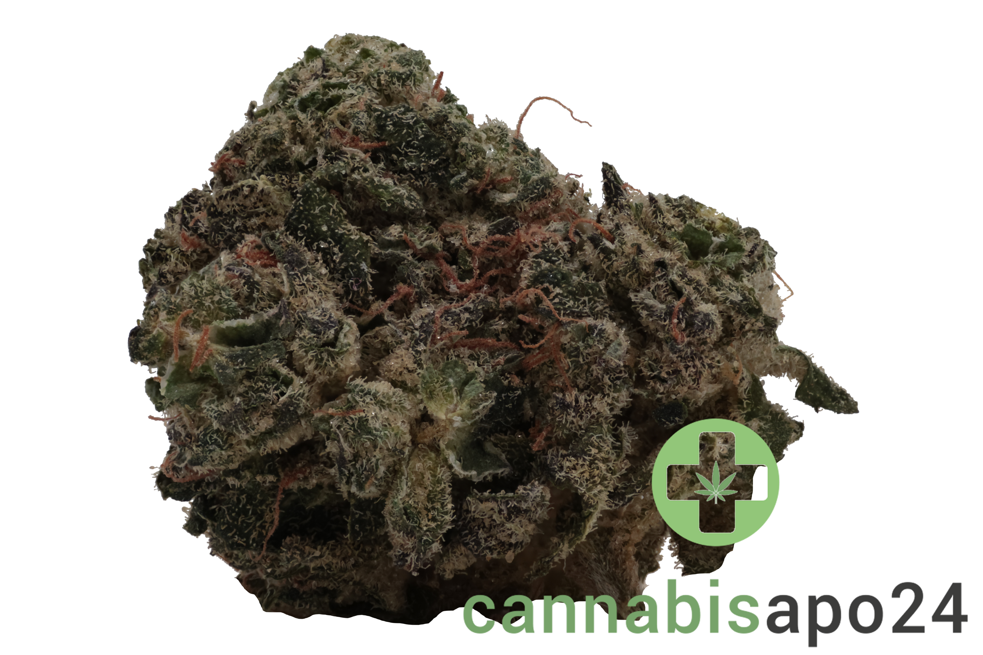 Enua 36/1 JGF CA Jungle Fumes