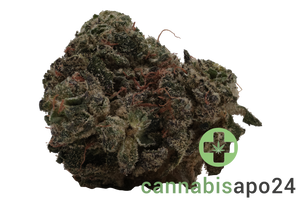 Enua 36/1 JGF CA Jungle Fumes