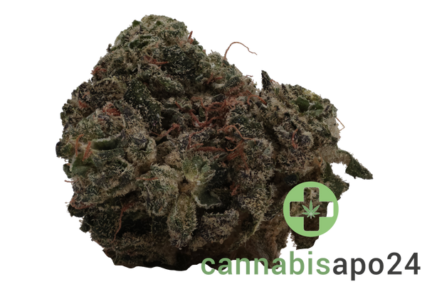 Enua 36/1 JGF CA Jungle Fumes