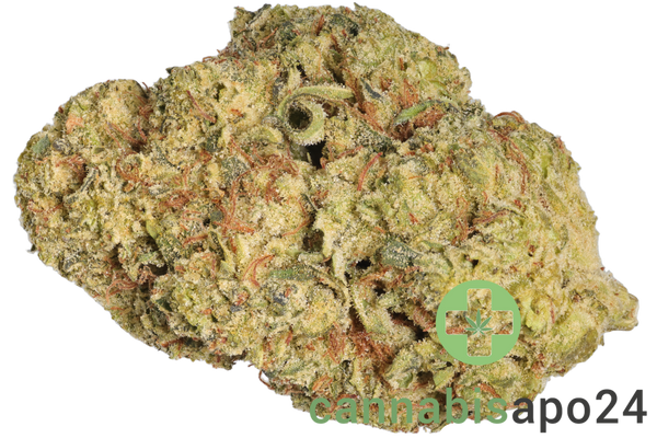 enua 27/1 GLK CA Guava Lemon Kush