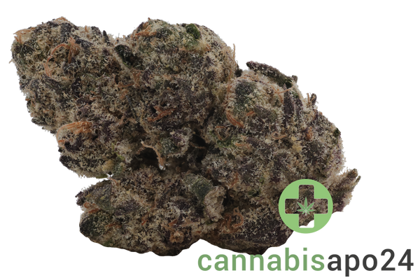 Enua 30/1 Blue L CA Blue Lobster