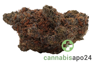Eufloria 27/1 ICC Ice Cream Cake