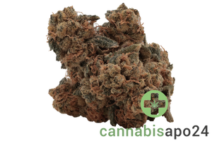 Eufloria 27/1 KUM Kush Mints