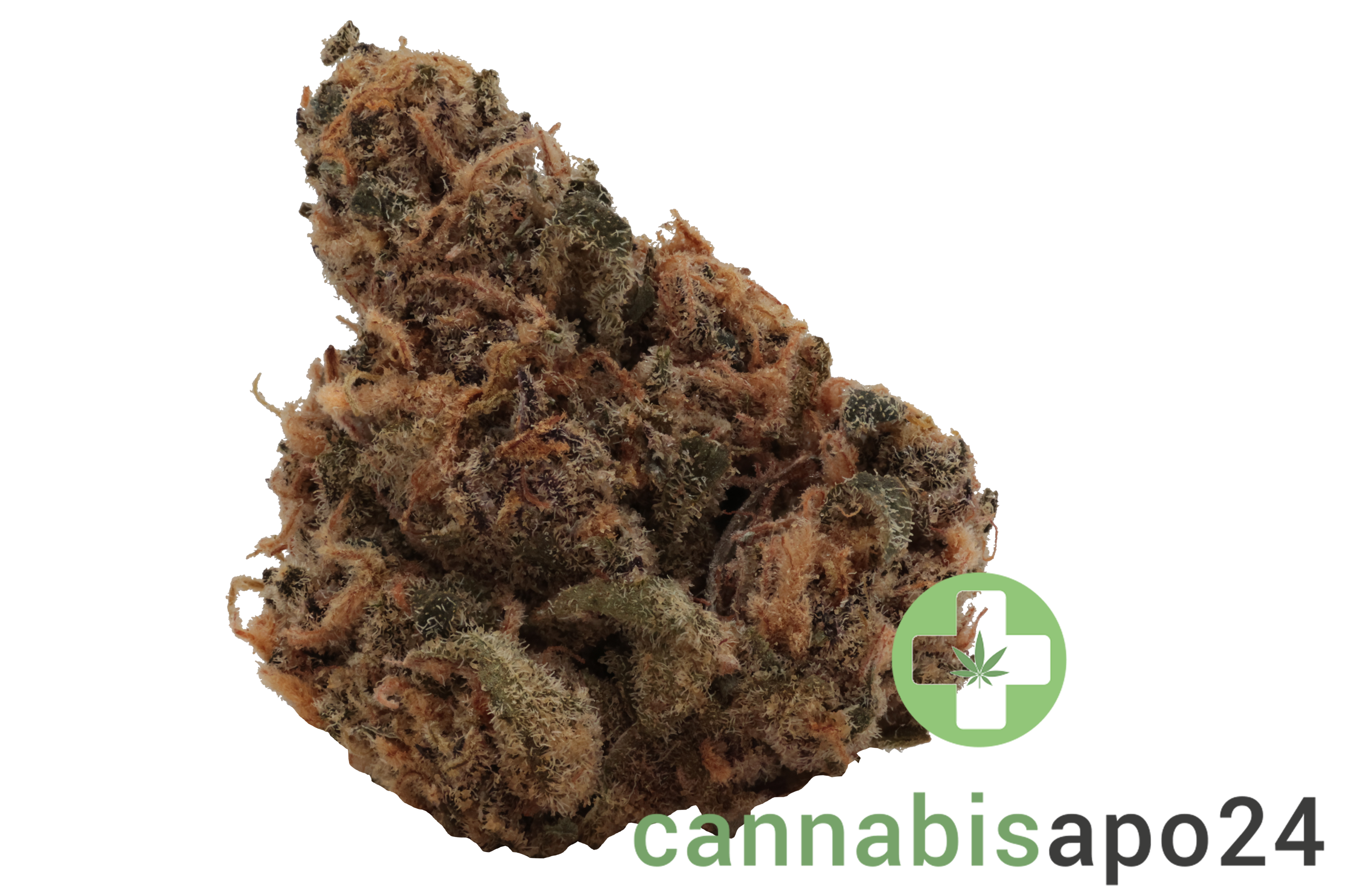 Eufloria 27/1 PSL Pink Slurricane