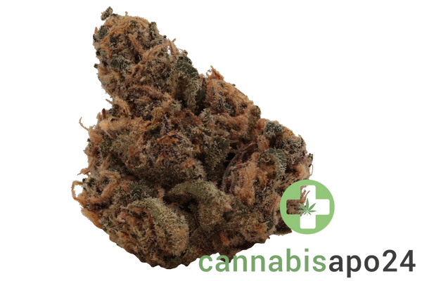 Eufloria 27/1 PSL Pink Slurricane