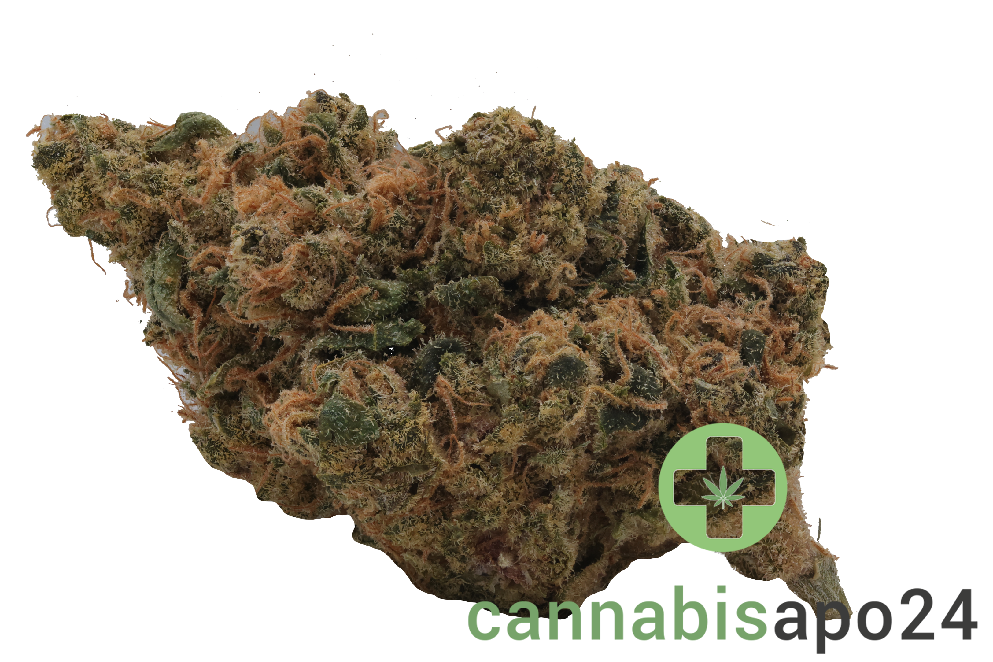 Eufloria 30/1 BAC Banana Cake