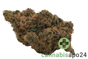 Eufloria 30/1 BAC Banana Cake