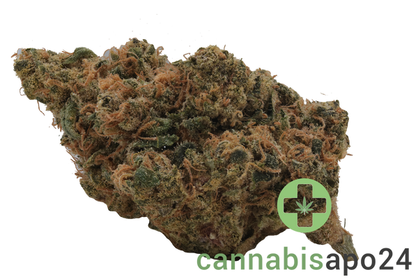 Eufloria 30/1 BAC Banana Cake
