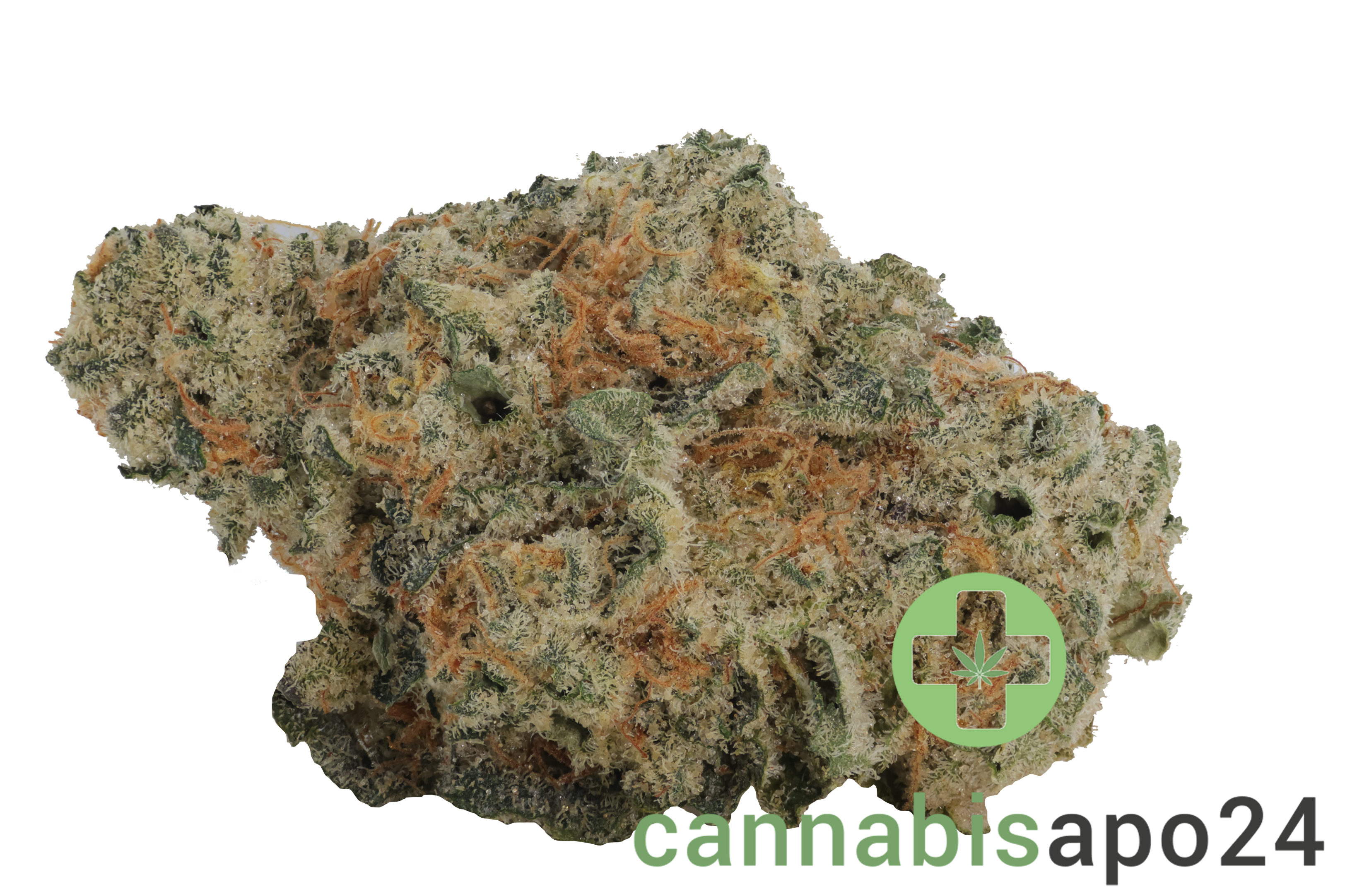 Eufloria 30/1 LBA LA Baker