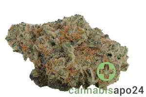 Eufloria 30/1 LBA LA Baker