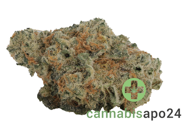 Eufloria 30/1 LBA LA Baker