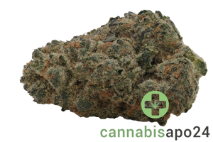 Eufloria 33/1 LBA LA Baker