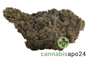 Fire Gold 30/1 LED Lemon Diesel