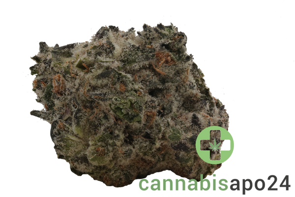 Fire Gold 33/1 FOG Fire OG