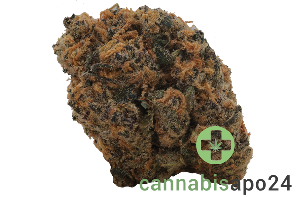 Kush Collective GDP 27/1 Grand Daddy Punch