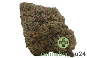 Kush Collective LDS 30/1 Lilac Diesel
