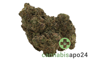 Kush Collective LPP 30/1 Lemon Pepper Punch
