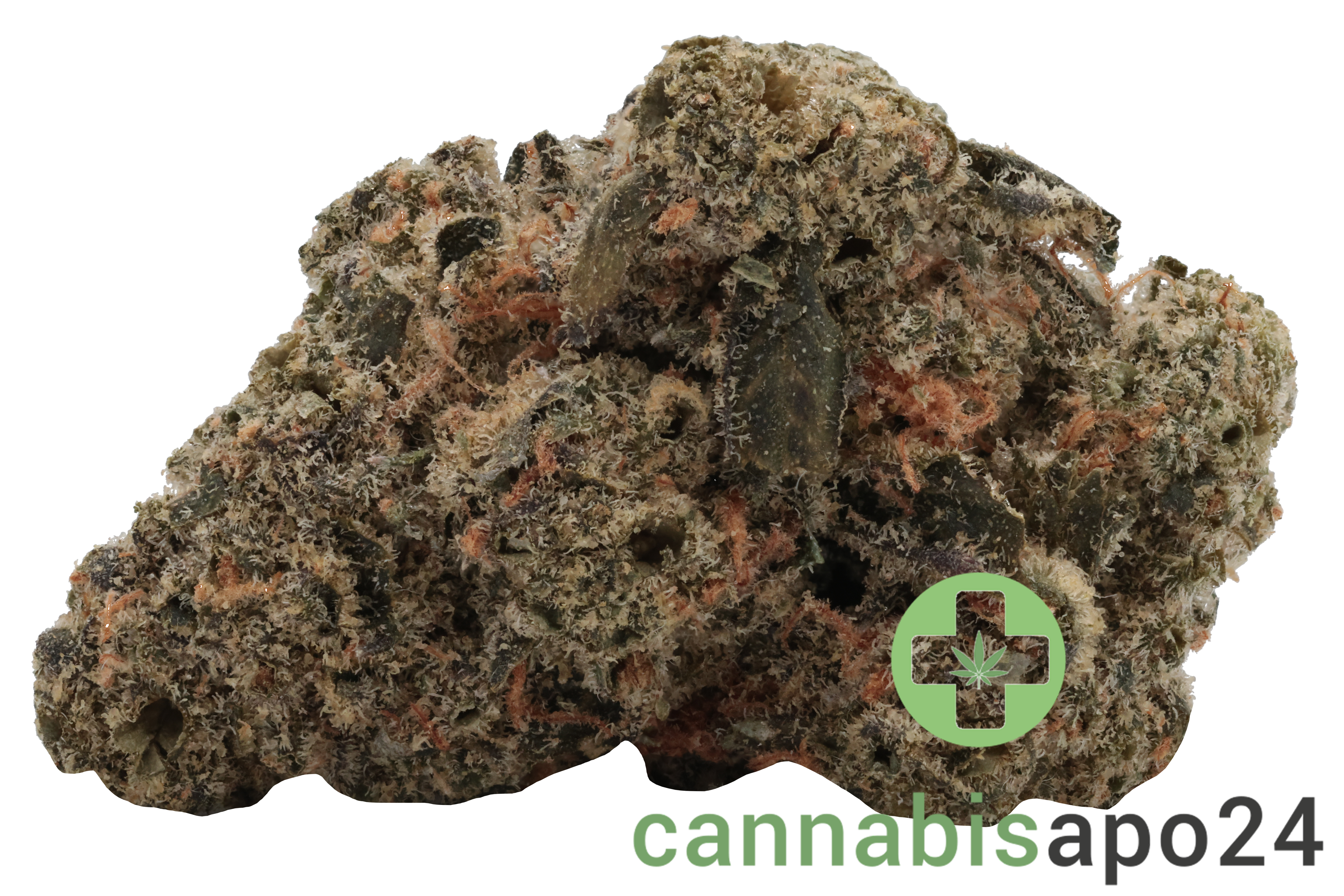 Greyscales HF Hawaiian Faanta