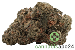 Greyscales HF Hawaiian Faanta