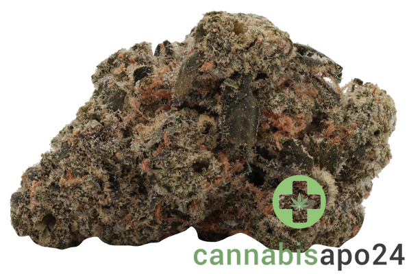 Greyscales HF Hawaiian Faanta