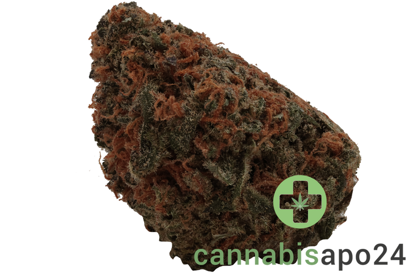 Grow Group