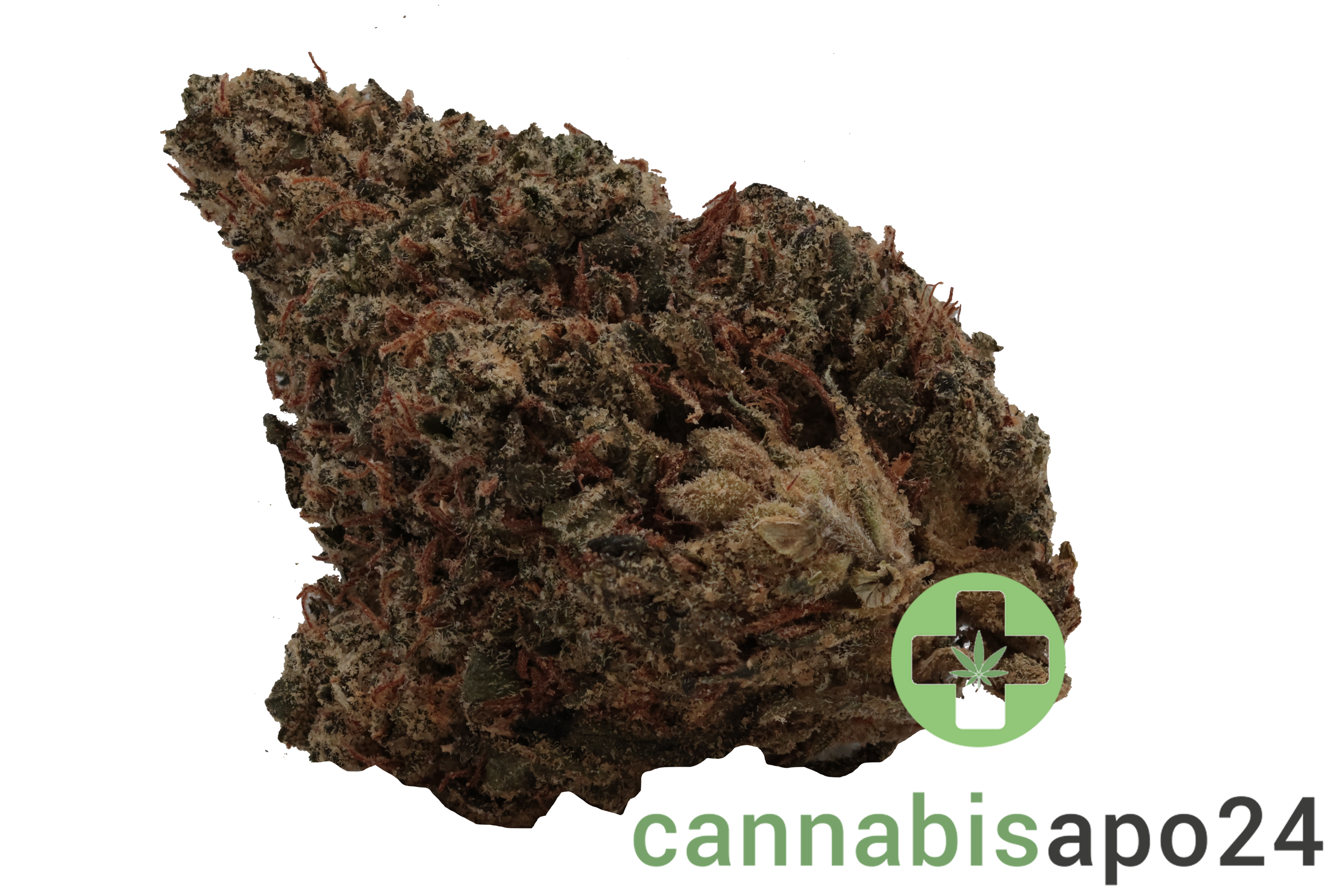 GROW LCC 27 Lemon Cream Cake