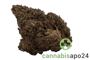 GROW LCC 27 Lemon Cream Cake