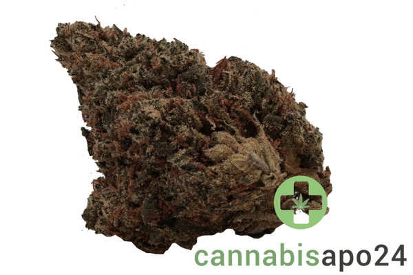 GROW LCC 27 Lemon Cream Cake