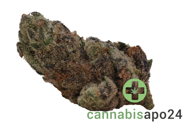 HiDealz 21/1 MS HUB Huckleberry - smalls