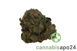 HiDealz 24/1 MS HWH Honeydew Haze - smalls