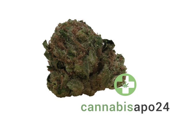HiDealz 24/1 MS HWH Honeydew Haze - smalls
