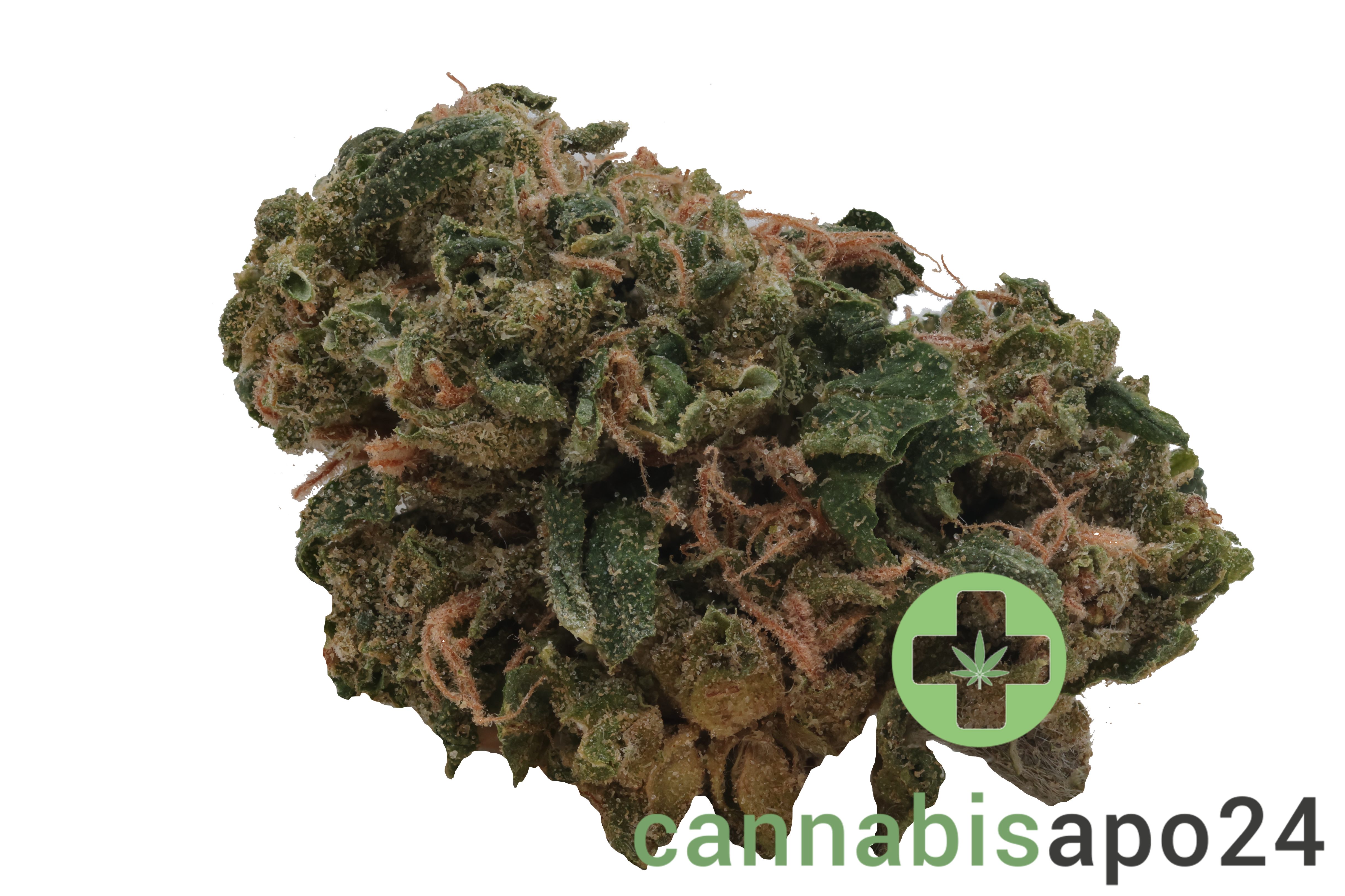HiDealz 27/1 MS HWH Honeydew Haze - smalls