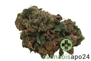 HiDealz 27/1 MS HWH Honeydew Haze - smalls