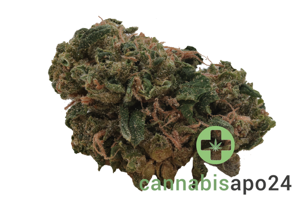 HiDealz 27/1 MS HWH Honeydew Haze - smalls