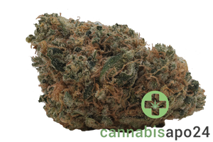 High Greens FZ 30/1 Funky Zkittlez