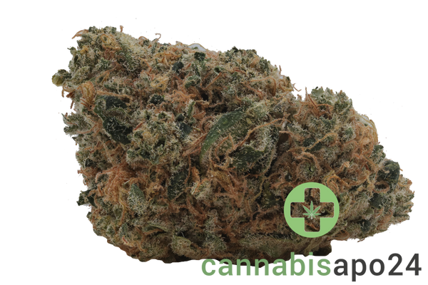 High Greens FZ 30/1 Funky Zkittlez