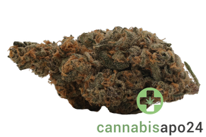 High Greens PS 30/1 Pink Slurricane
