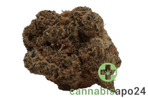 HiSociety 27/1 CAN Deep Breath