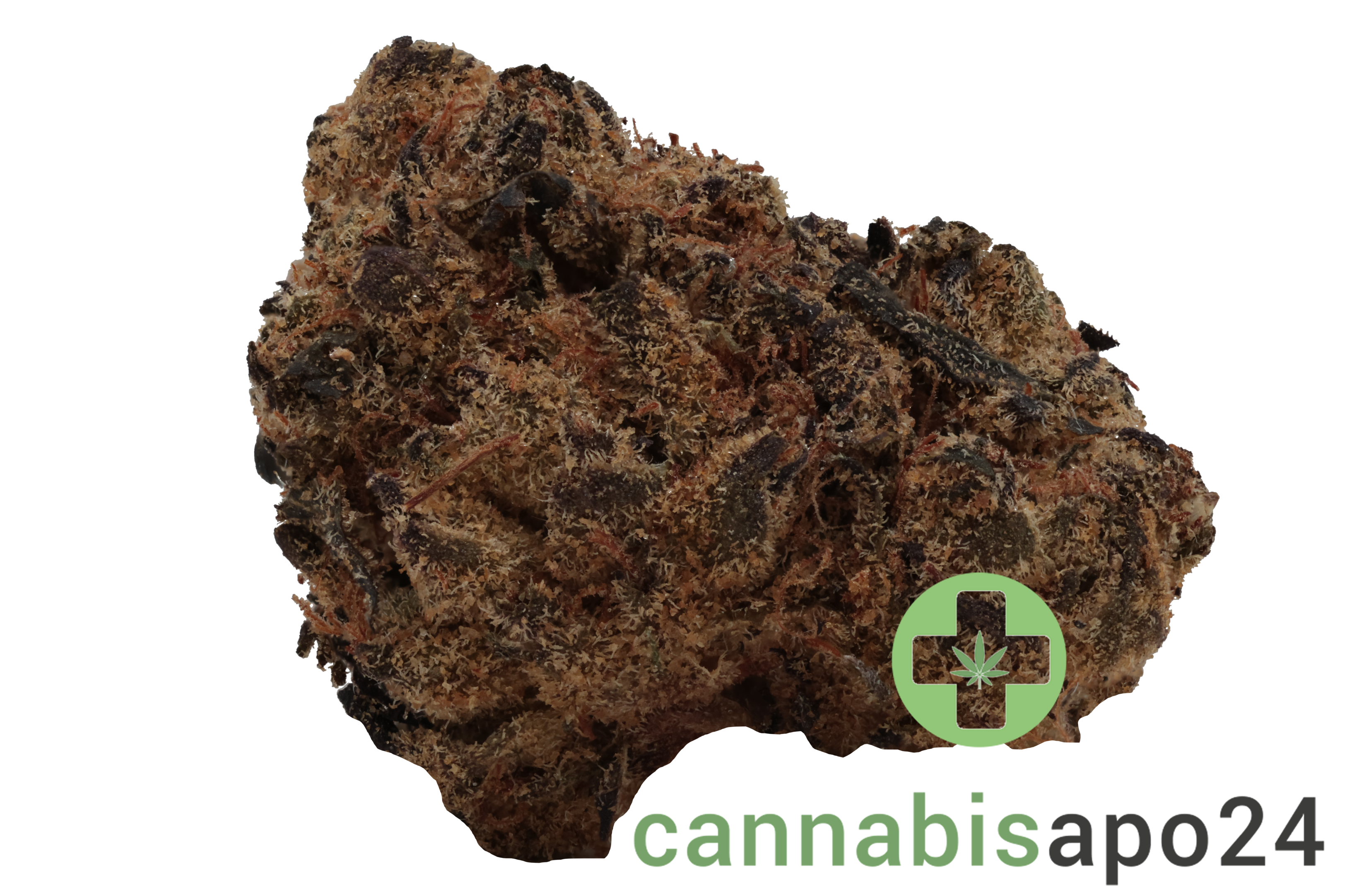 HiSociety BZ 29/1 Blue Zushi