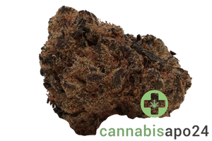 HiSociety BZ 29/1 Blue Zushi