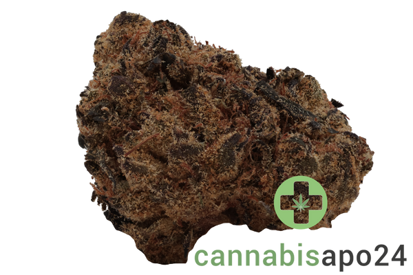 HiSociety BZ 29/1 Blue Zushi