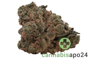 Huala 22/1 CA GBG Grape Burger