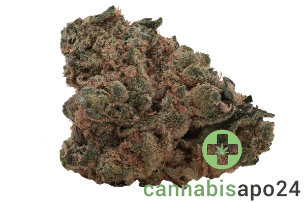 Huala 22/1 CA GBG Grape Burger