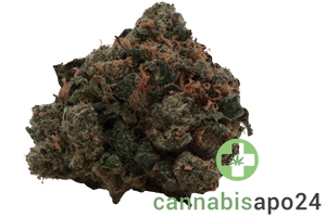 Huala 22/1 CA WOT Whiteout