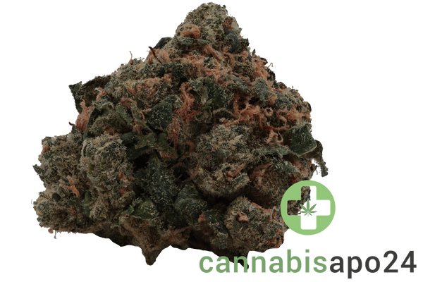 Huala 22/1 CA WOT Whiteout