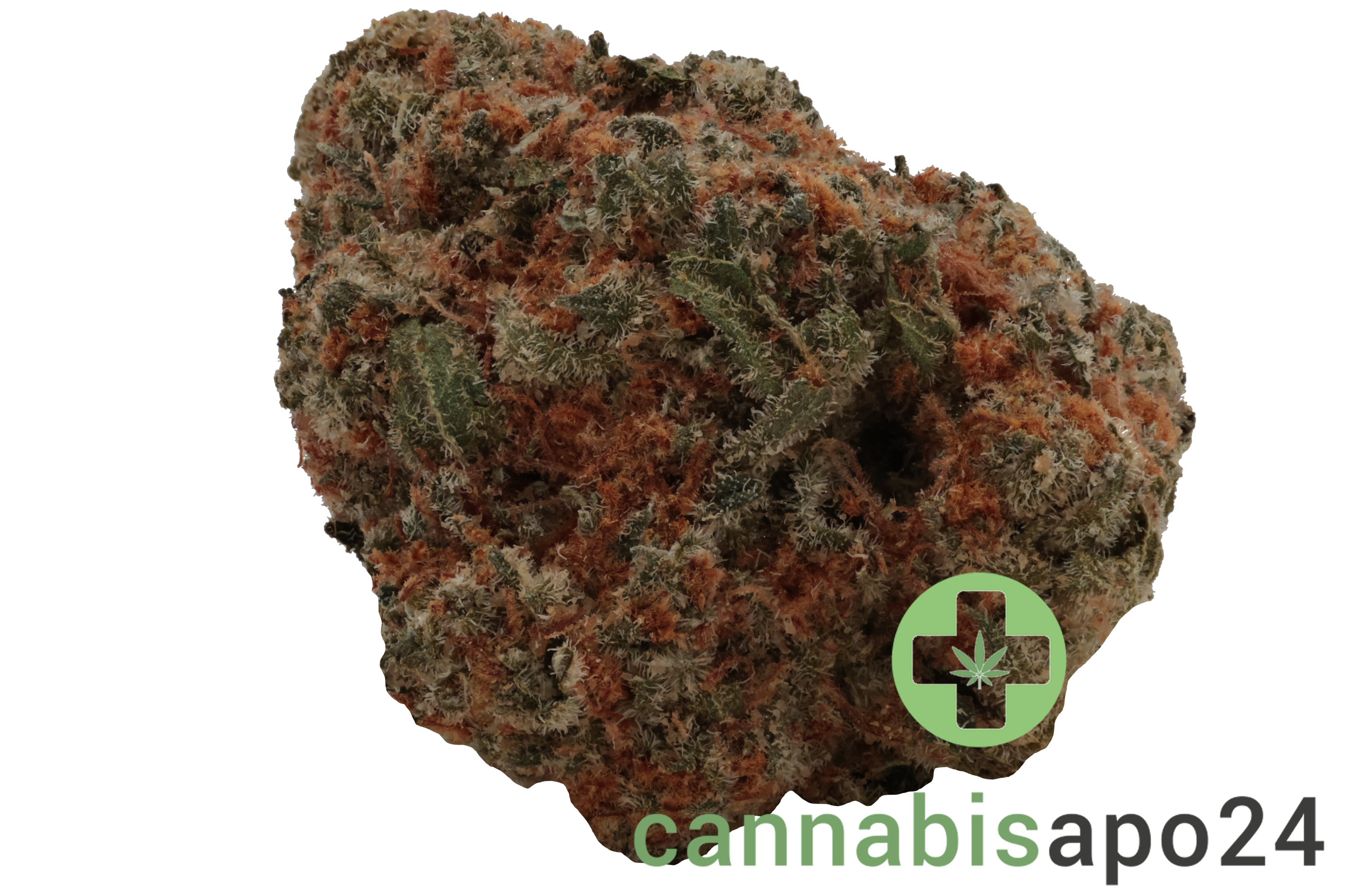 Huala 22/1 UK WTR Waffle Truffle