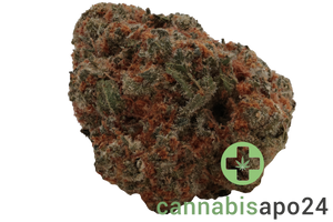 Huala 22/1 UK WTR Waffle Truffle