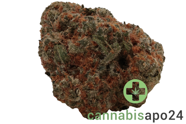 Huala 22/1 UK WTR Waffle Truffle